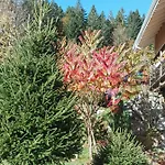 L'eden De Floridylle