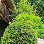 L'eden De Floridylle Отель типа 