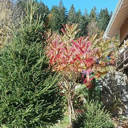 L'eden De Floridylle