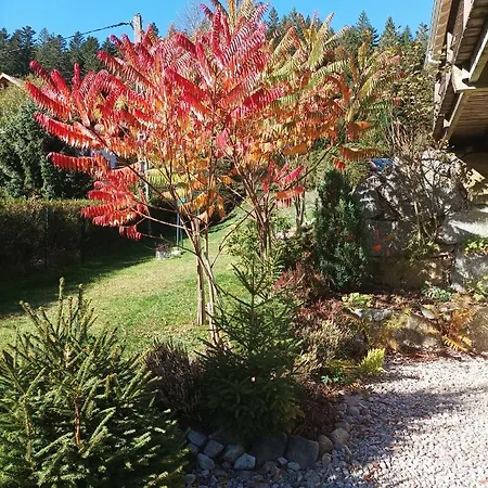 L'eden De Floridylle Xonrupt-Longemer