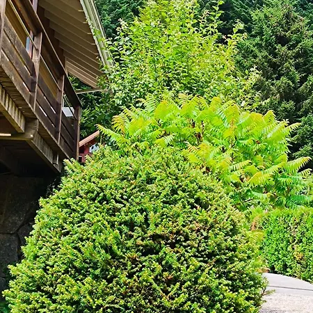 L'eden De Floridylle Bed & Breakfast