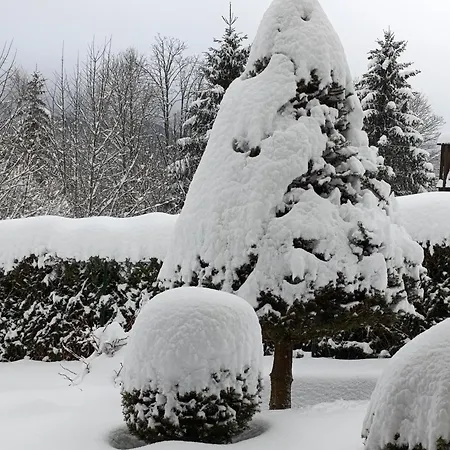 L'eden De Floridylle Xonrupt-Longemer