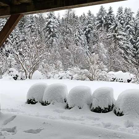 L'eden De Floridylle Bed & Breakfast