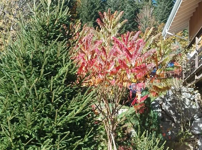 L'eden De Floridylle