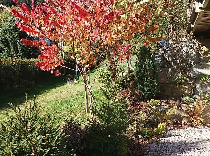 L'eden De Floridylle Xonrupt-Longemer