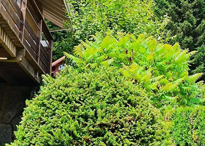 L'eden De Floridylle Bed & Breakfast