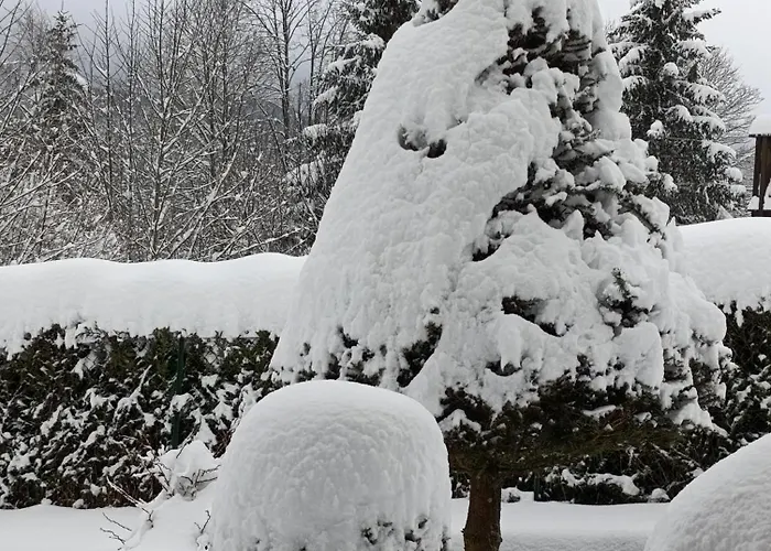 L'eden De Floridylle Xonrupt-Longemer