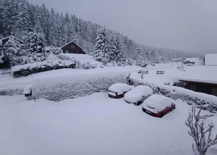 L'eden De Floridylle 3* Xonrupt-Longemer