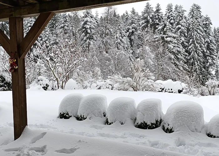 L'eden De Floridylle Bed & Breakfast