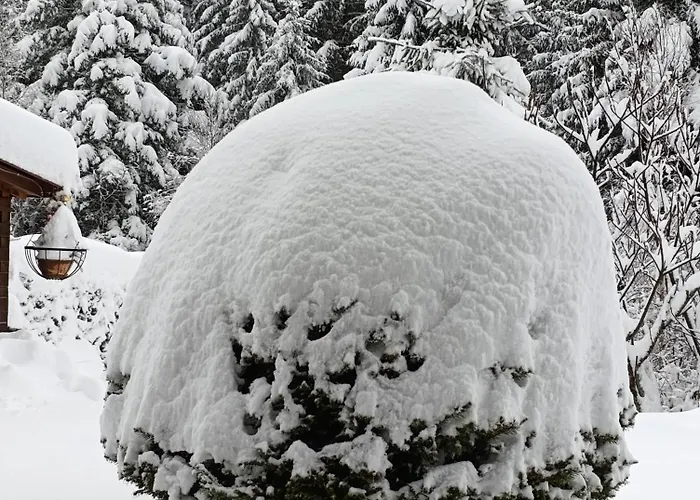 L'eden De Floridylle Bed & Breakfast Xonrupt-Longemer